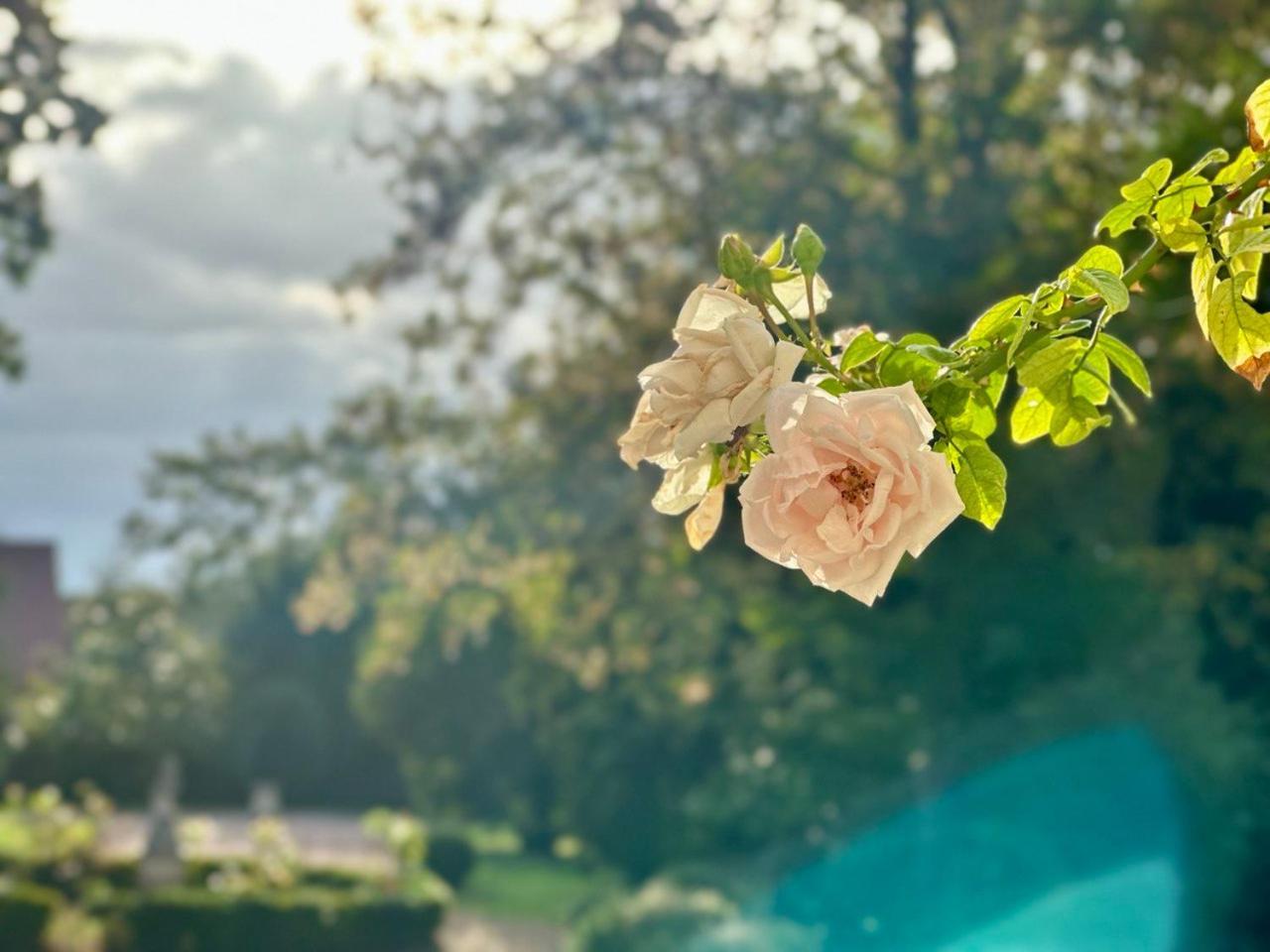 ジヴリ Cote Park Bed & Breakfast エクステリア 写真