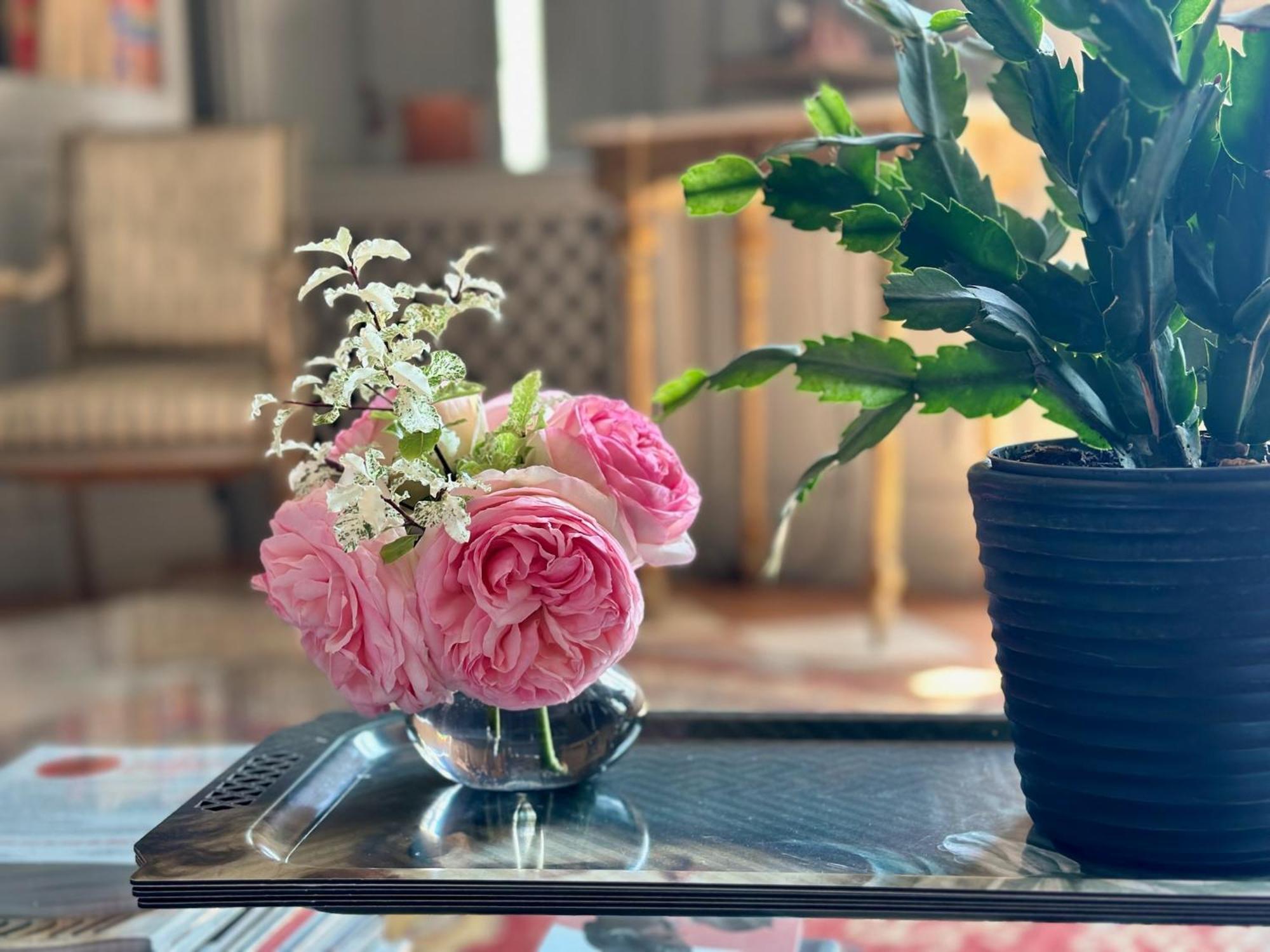 ジヴリ Cote Park Bed & Breakfast エクステリア 写真