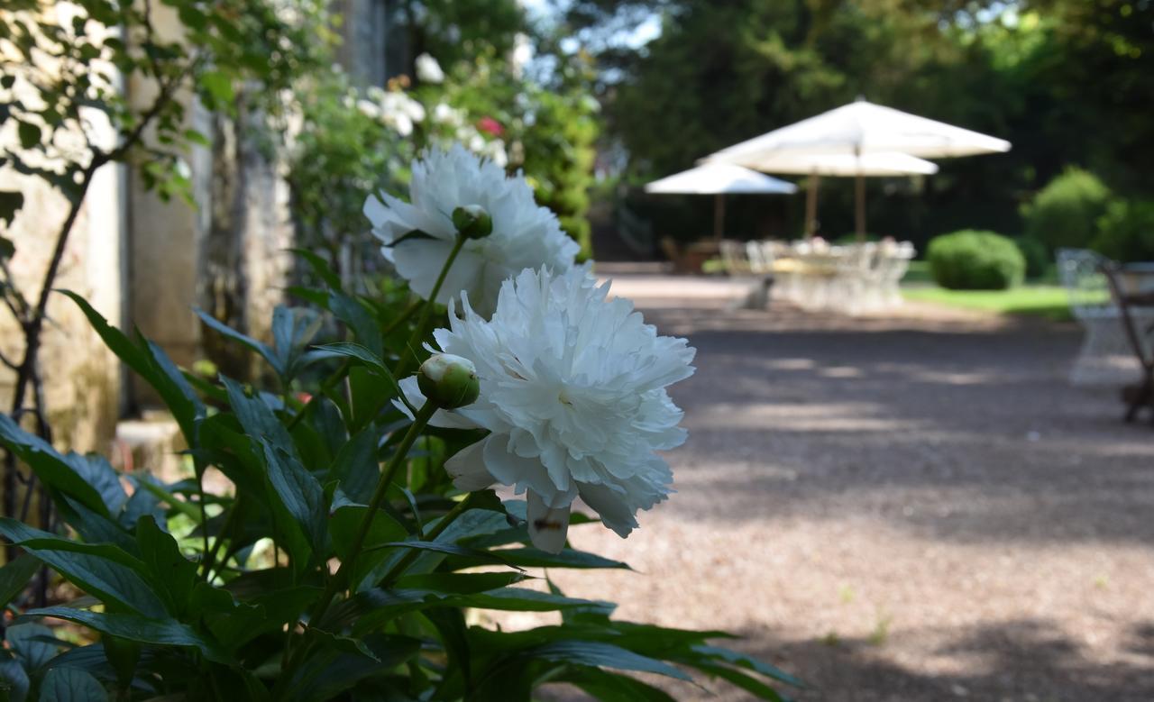 ジヴリ Cote Park Bed & Breakfast エクステリア 写真